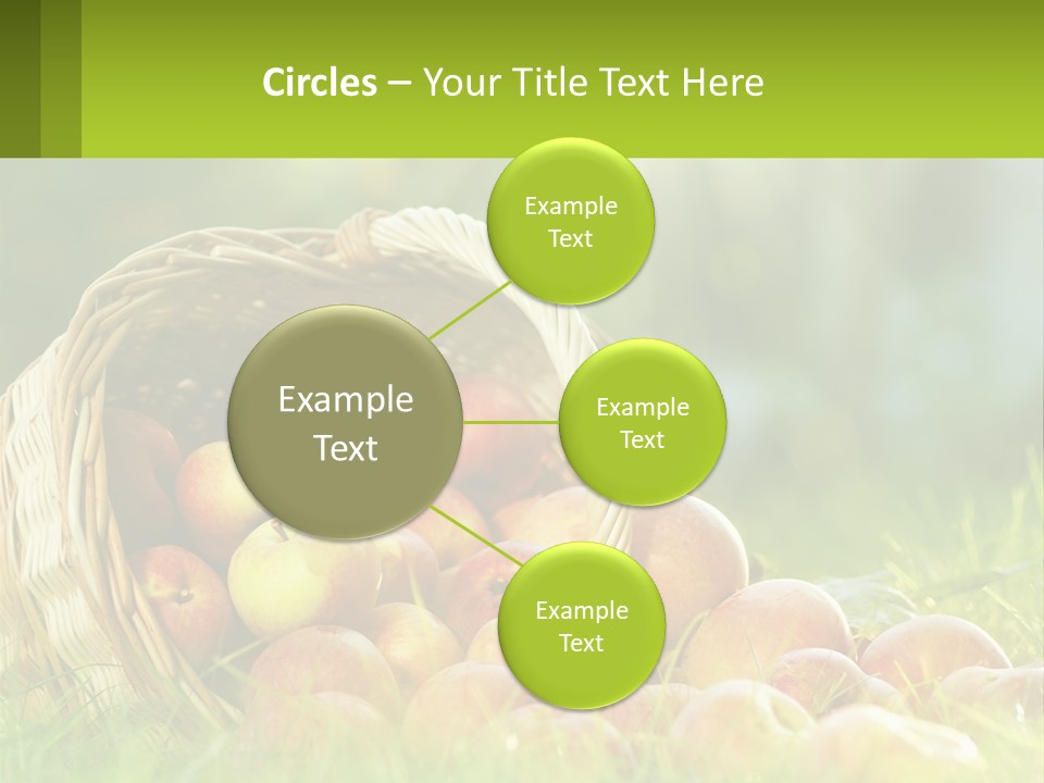 Card Star Design PowerPoint Template