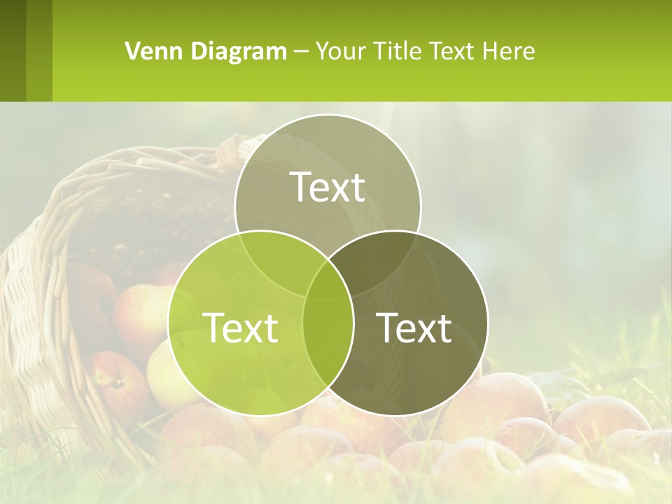 Card Star Design PowerPoint Template