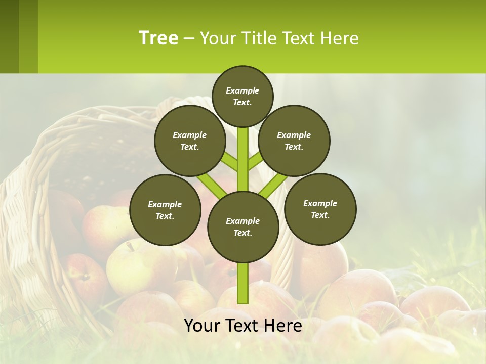 Card Star Design PowerPoint Template