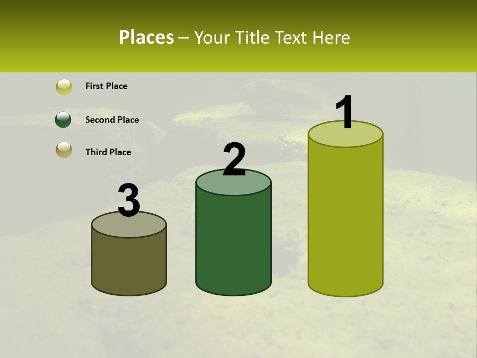 Bird Banner Happiness PowerPoint Template