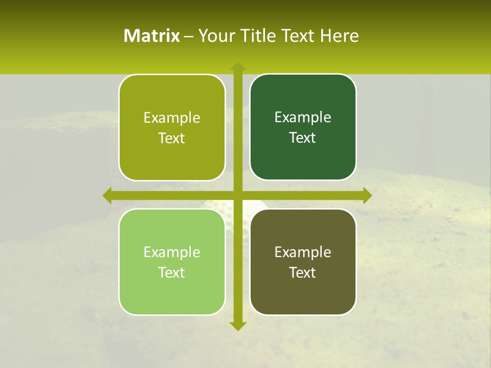 Bird Banner Happiness PowerPoint Template