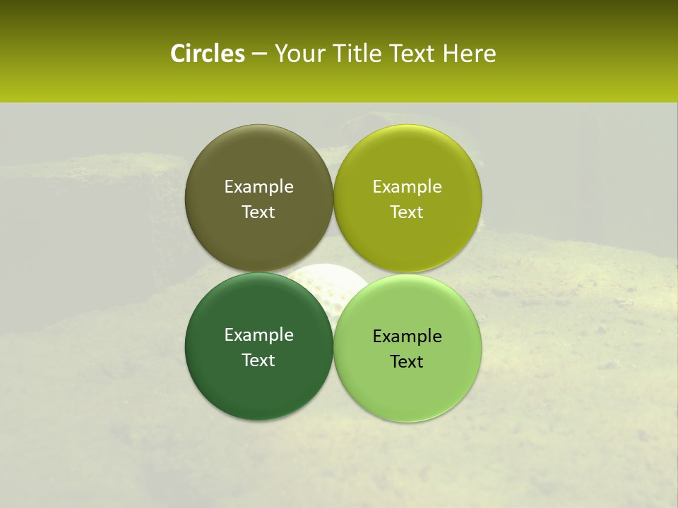 Bird Banner Happiness PowerPoint Template