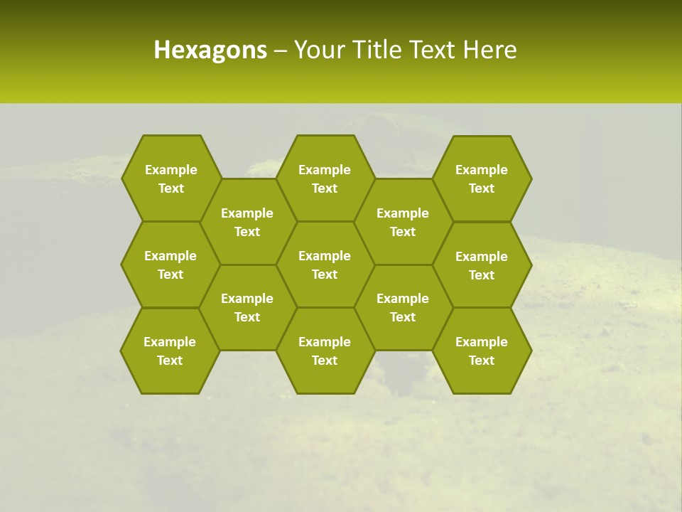 Bird Banner Happiness PowerPoint Template