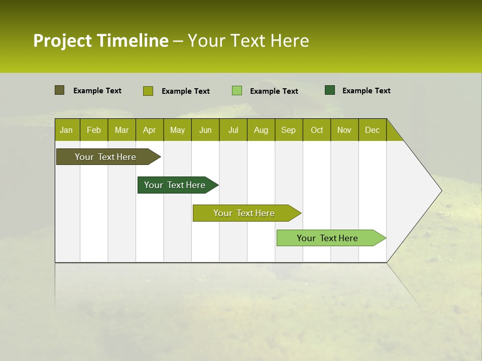 Bird Banner Happiness PowerPoint Template