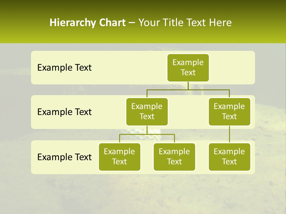 Bird Banner Happiness PowerPoint Template