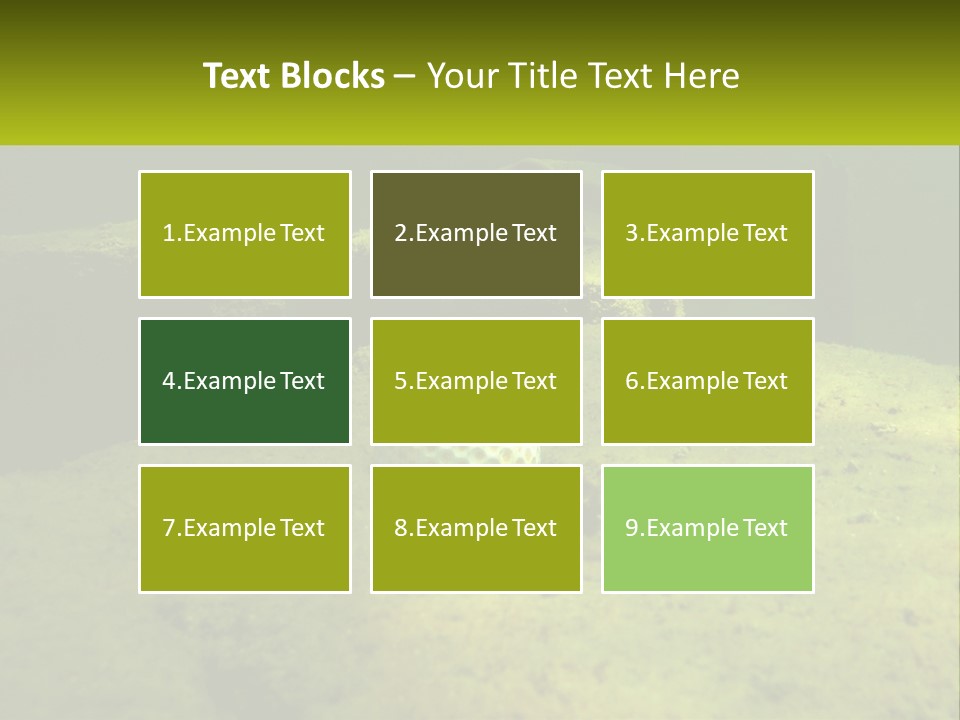 Bird Banner Happiness PowerPoint Template