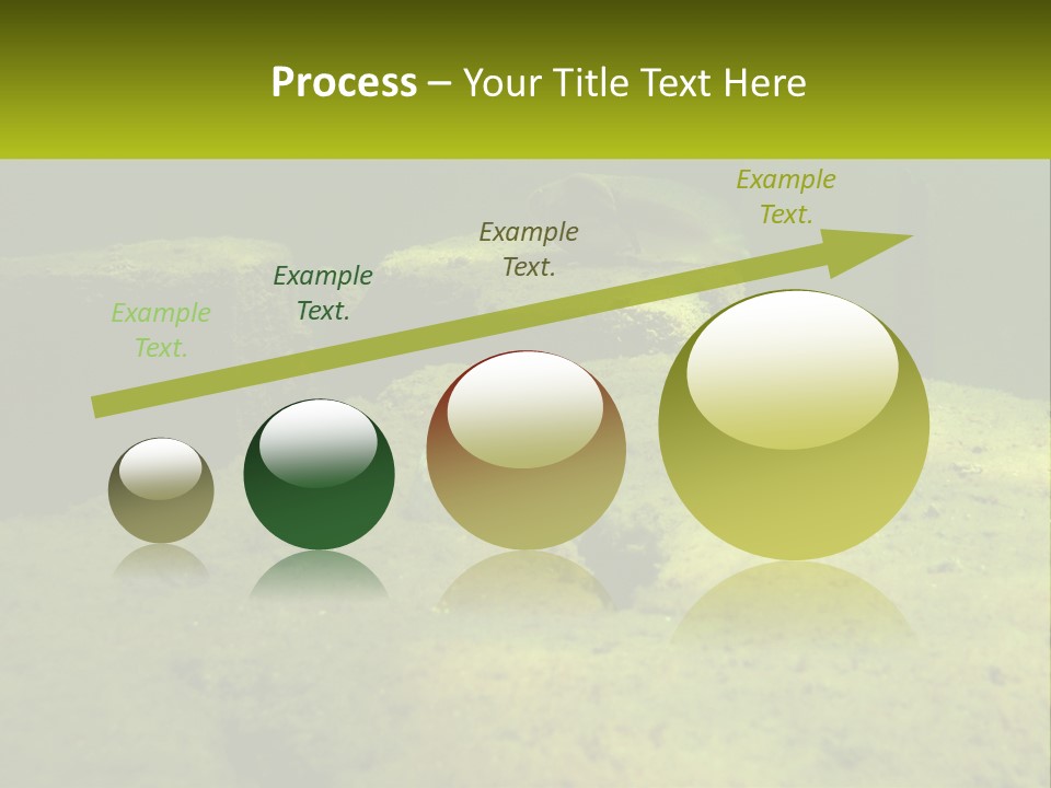 Bird Banner Happiness PowerPoint Template