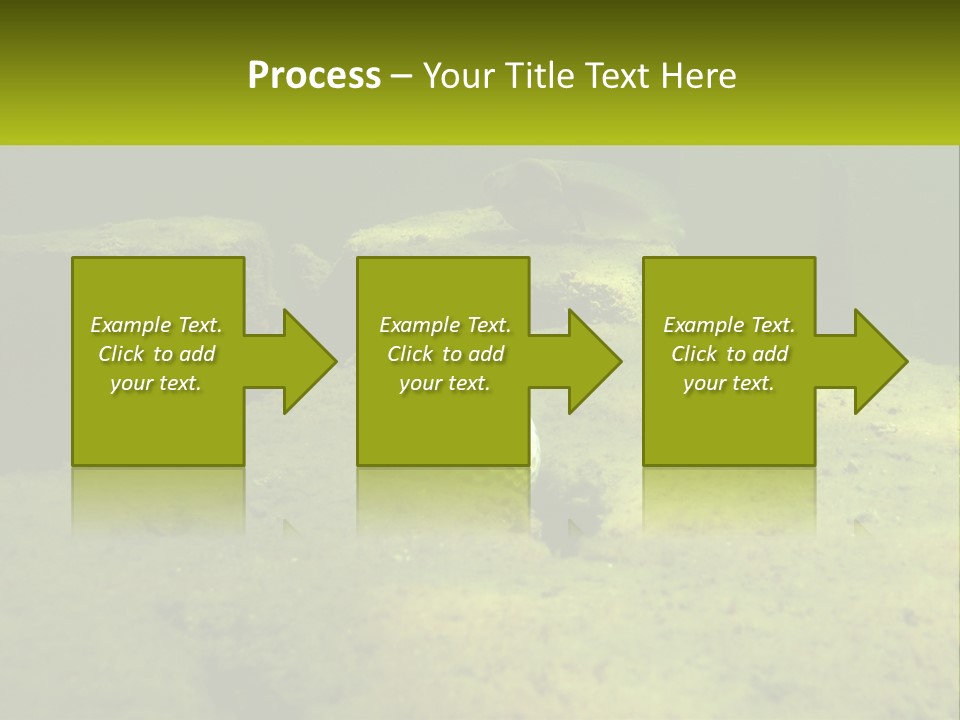 Bird Banner Happiness PowerPoint Template