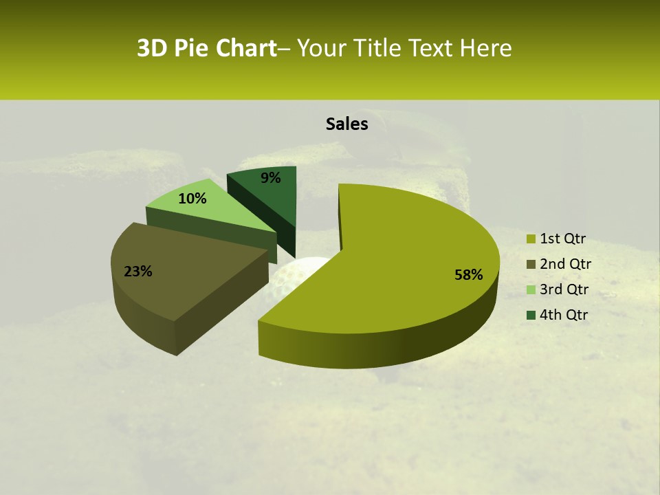 Bird Banner Happiness PowerPoint Template