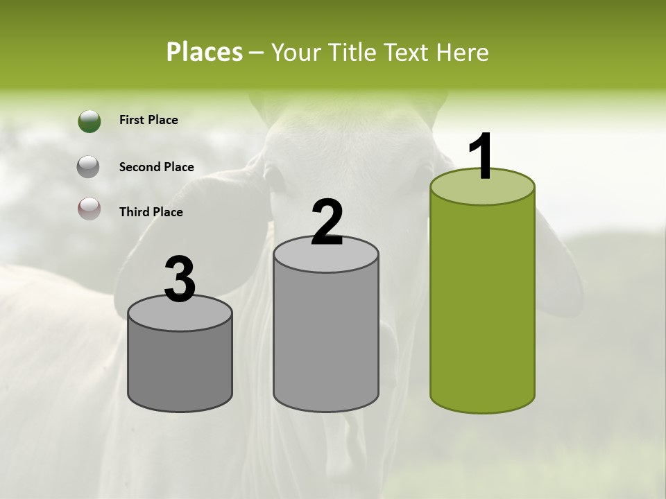 Flower Hat Chocolate PowerPoint Template