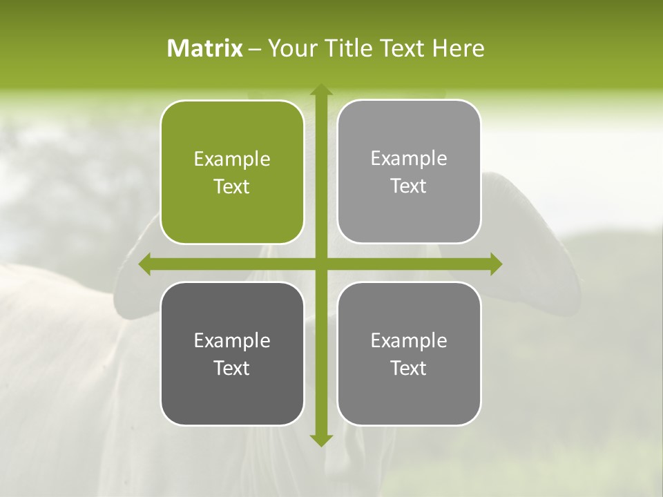 Flower Hat Chocolate PowerPoint Template