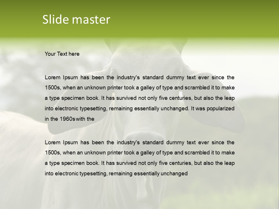 Flower Hat Chocolate PowerPoint Template