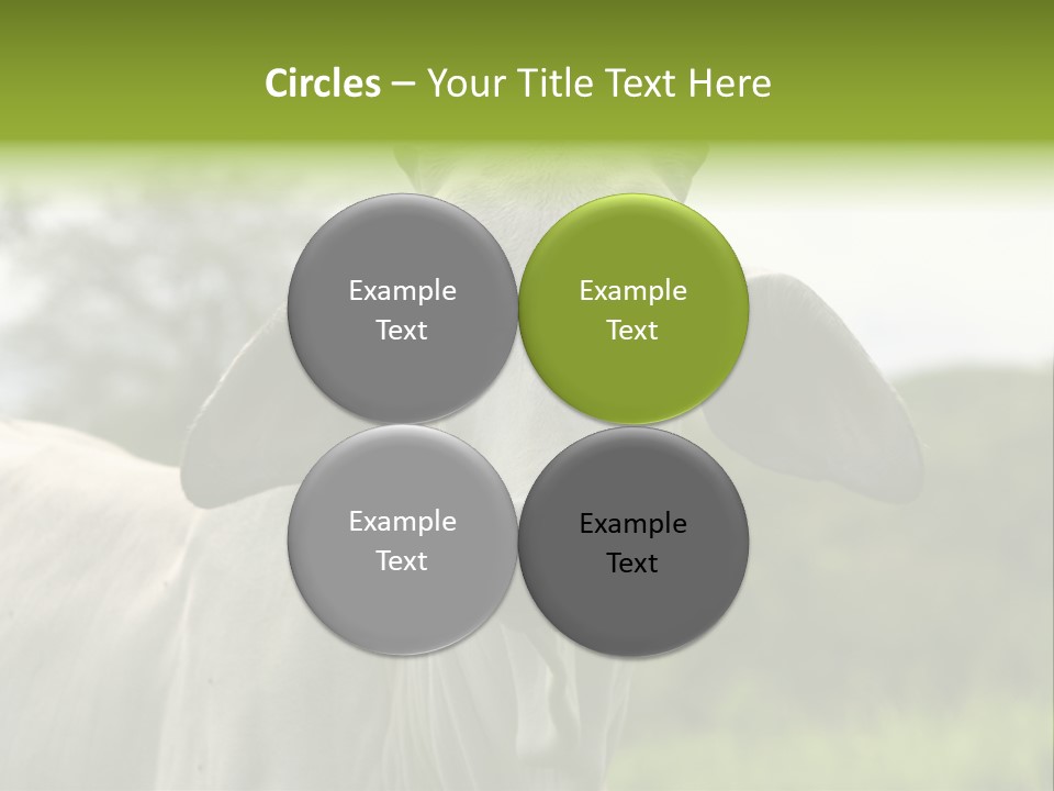 Flower Hat Chocolate PowerPoint Template