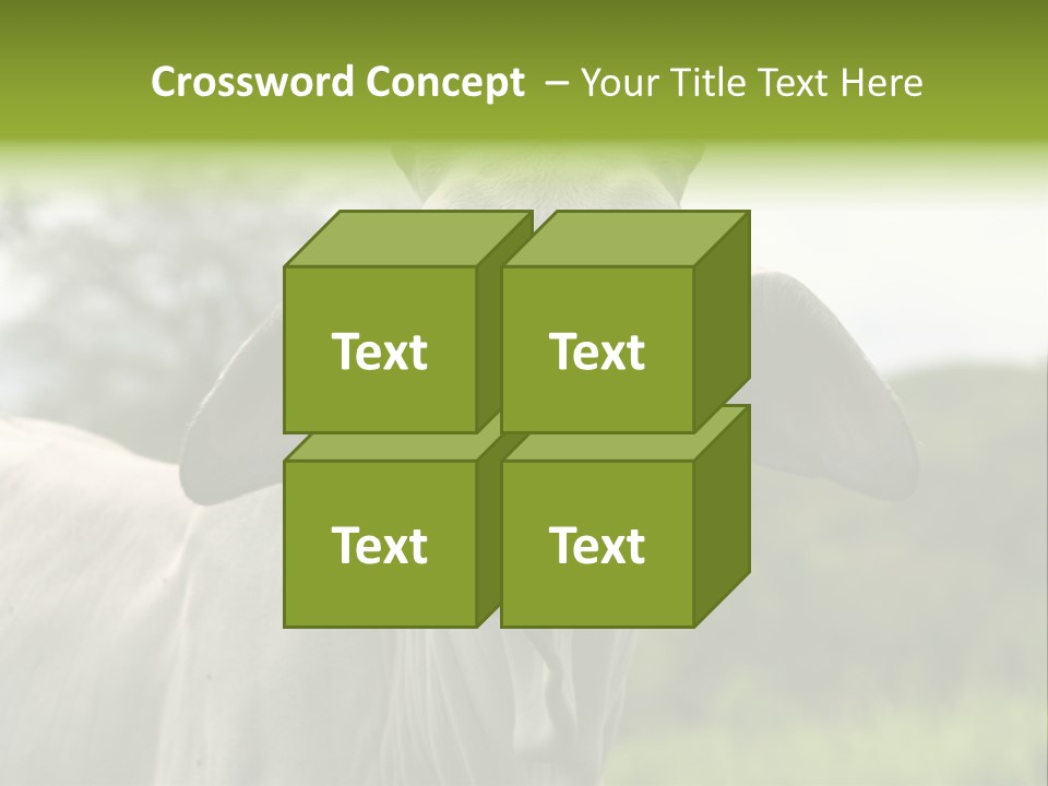 Flower Hat Chocolate PowerPoint Template