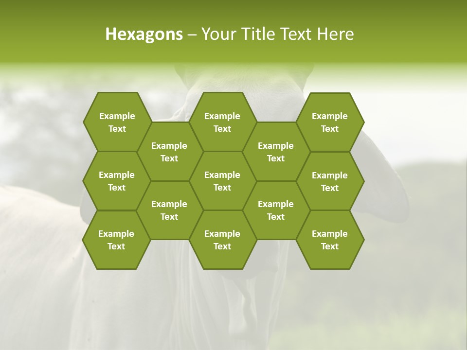 Flower Hat Chocolate PowerPoint Template