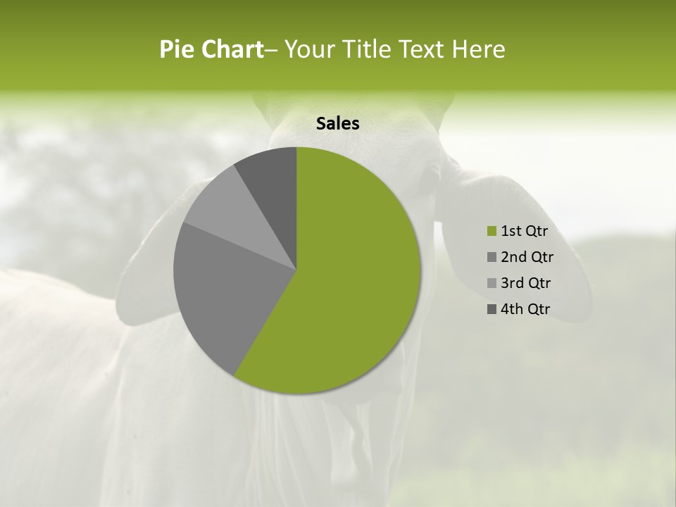 Flower Hat Chocolate PowerPoint Template