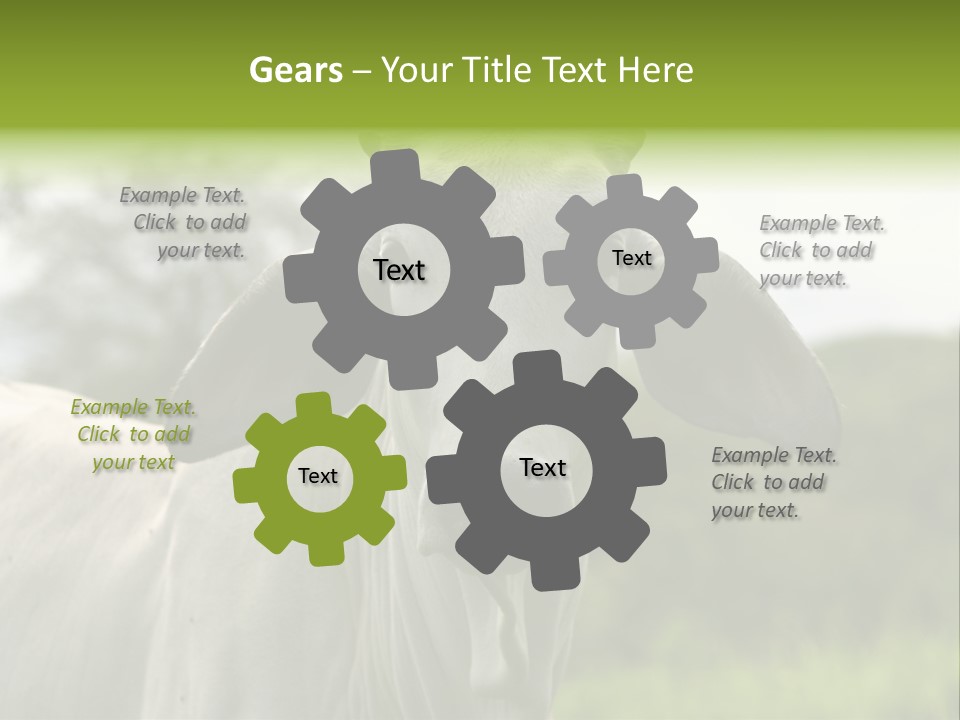 Flower Hat Chocolate PowerPoint Template