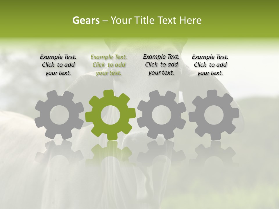 Flower Hat Chocolate PowerPoint Template