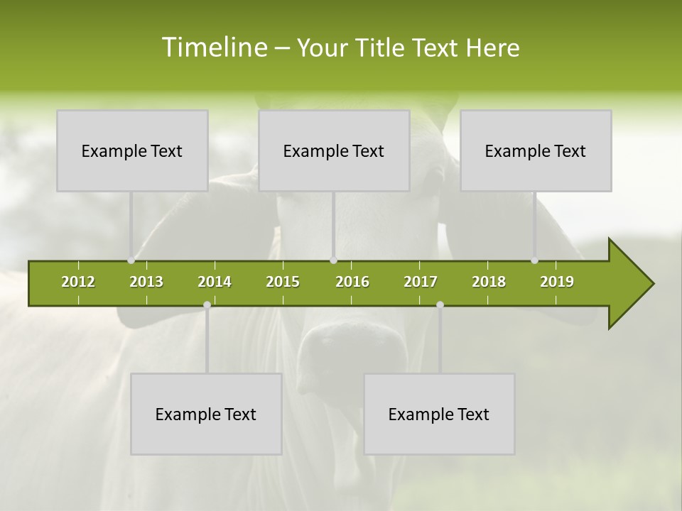 Flower Hat Chocolate PowerPoint Template