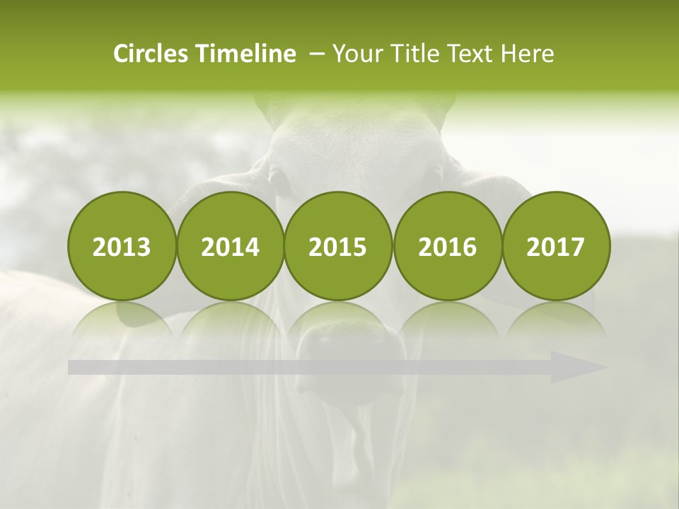 Flower Hat Chocolate PowerPoint Template