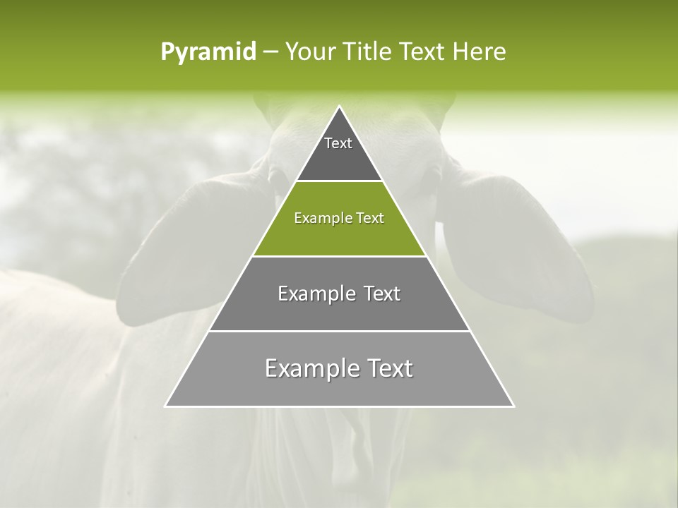 Flower Hat Chocolate PowerPoint Template