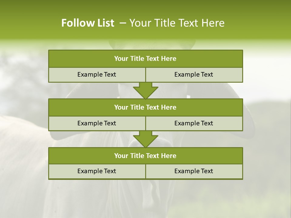 Flower Hat Chocolate PowerPoint Template