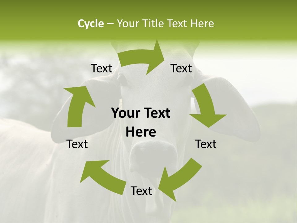 Flower Hat Chocolate PowerPoint Template