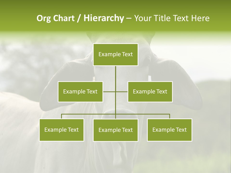 Flower Hat Chocolate PowerPoint Template