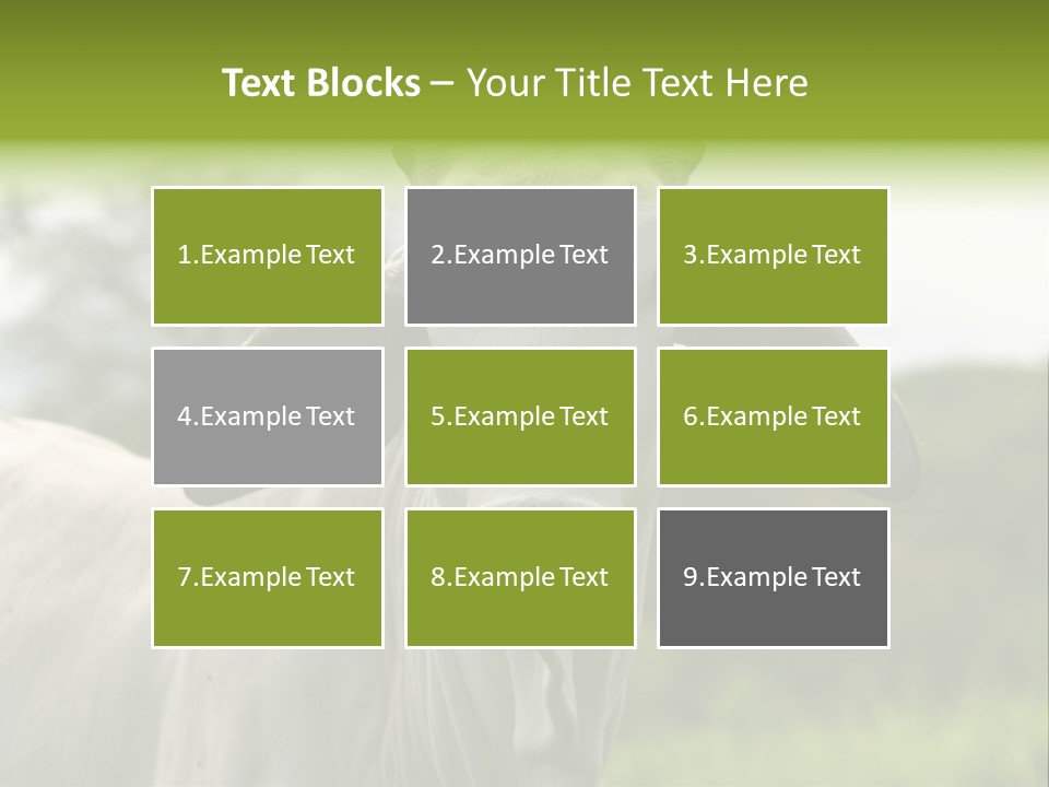 Flower Hat Chocolate PowerPoint Template