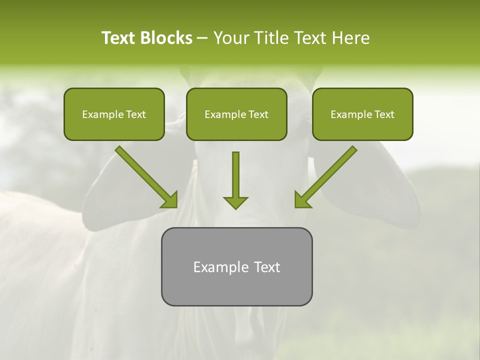 Flower Hat Chocolate PowerPoint Template