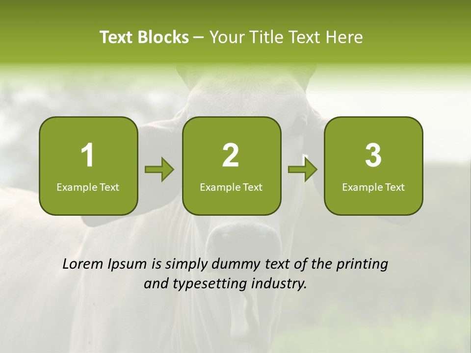 Flower Hat Chocolate PowerPoint Template