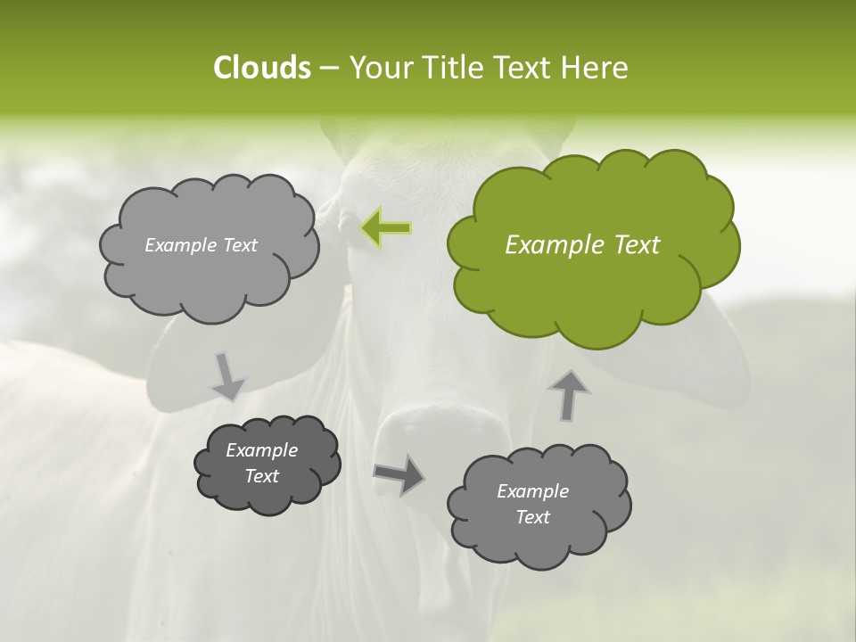 Flower Hat Chocolate PowerPoint Template