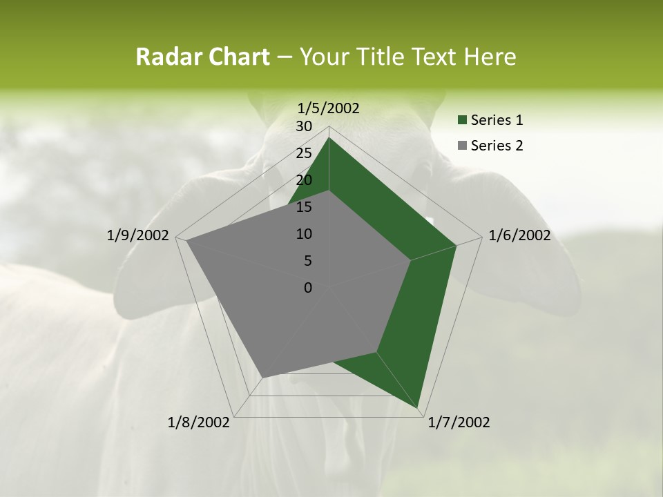 Flower Hat Chocolate PowerPoint Template