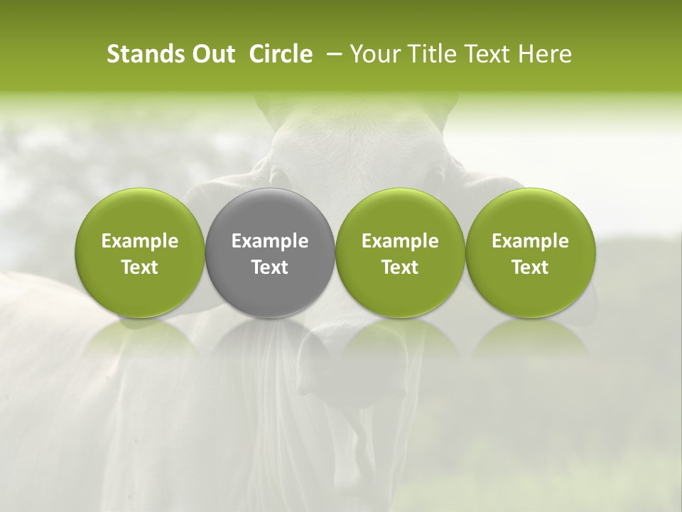 Flower Hat Chocolate PowerPoint Template