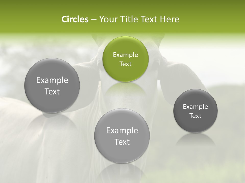 Flower Hat Chocolate PowerPoint Template