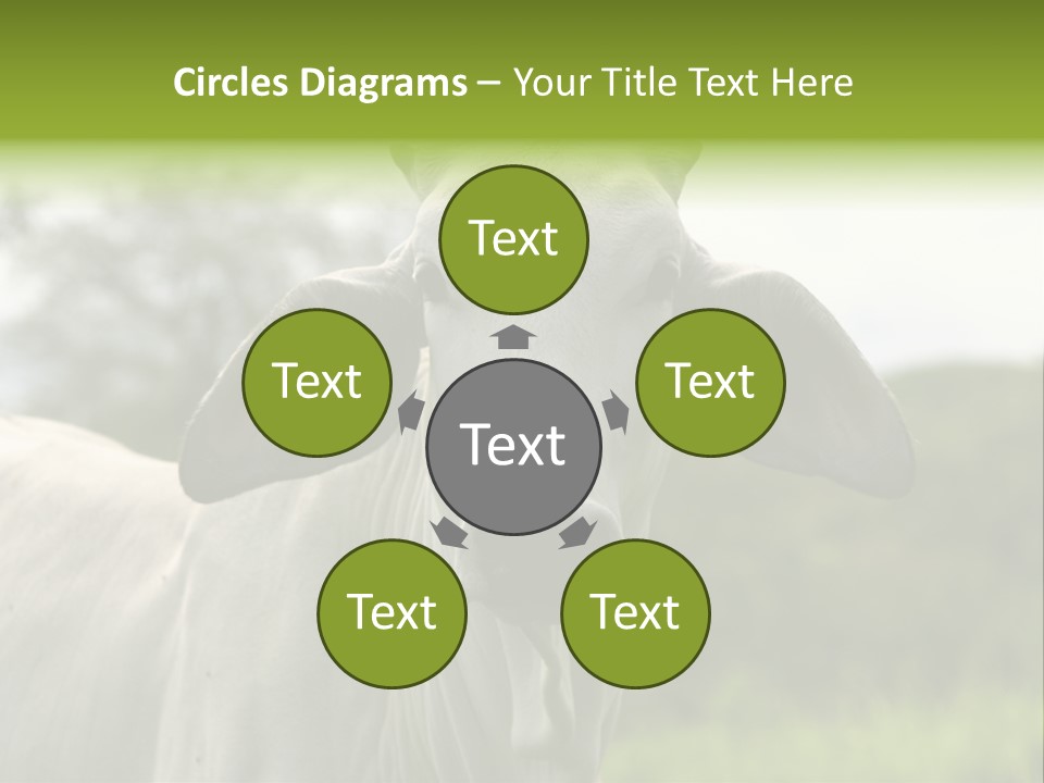 Flower Hat Chocolate PowerPoint Template