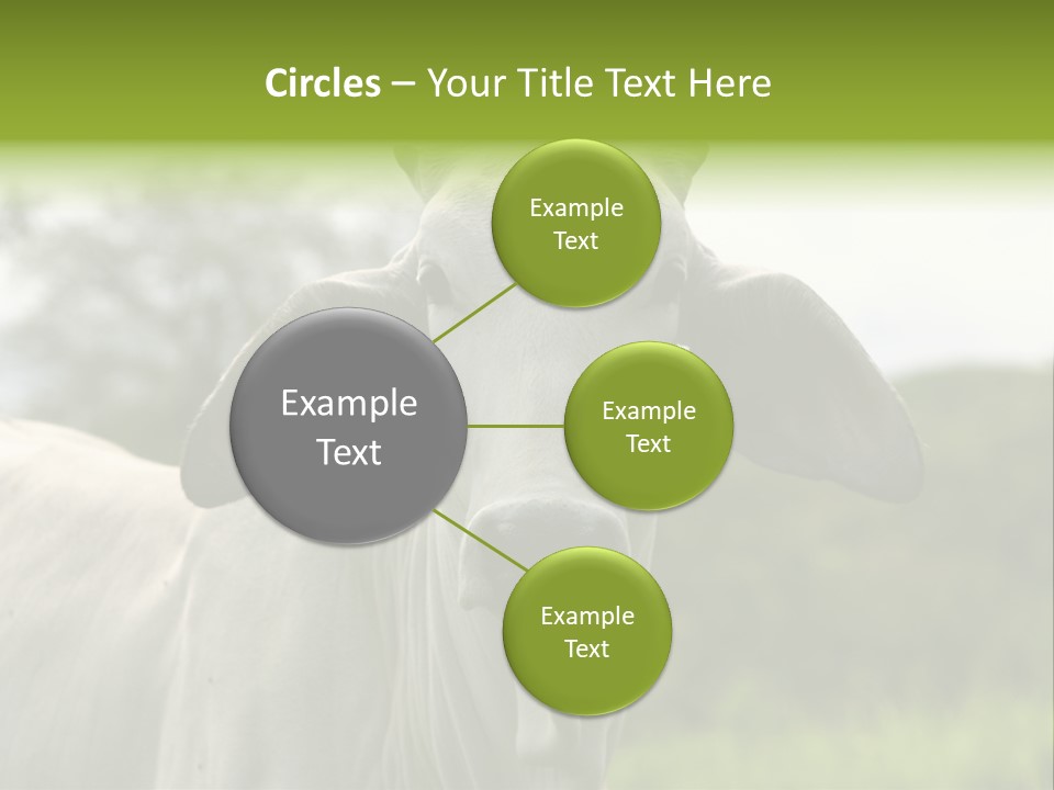 Flower Hat Chocolate PowerPoint Template