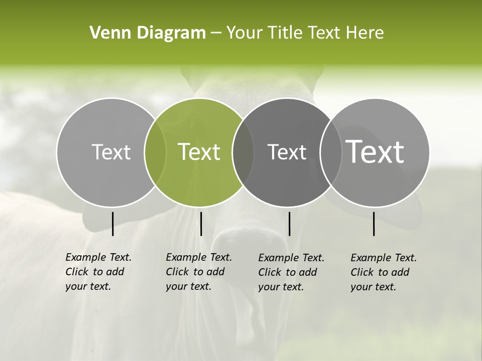 Flower Hat Chocolate PowerPoint Template