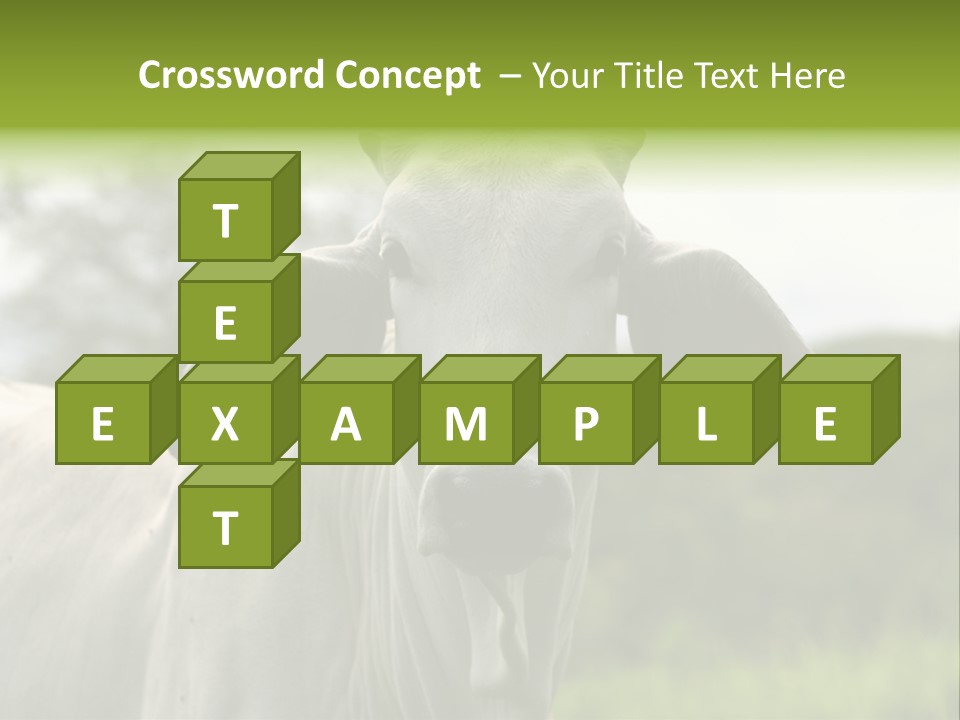 Flower Hat Chocolate PowerPoint Template