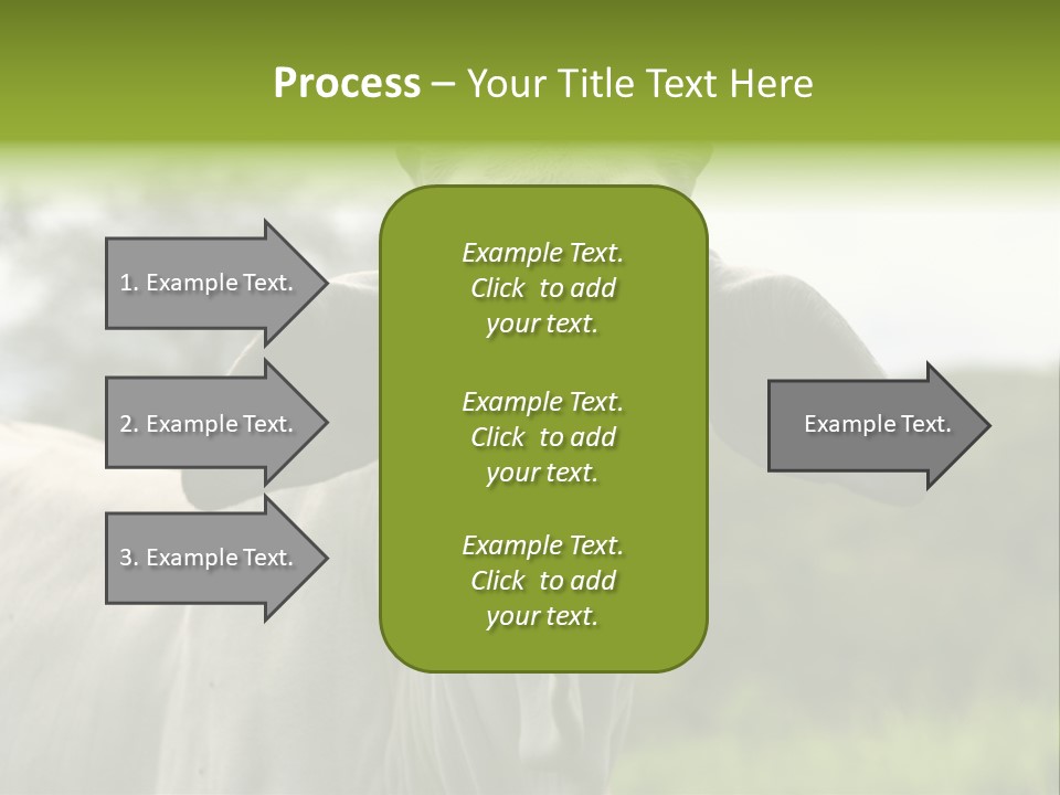 Flower Hat Chocolate PowerPoint Template