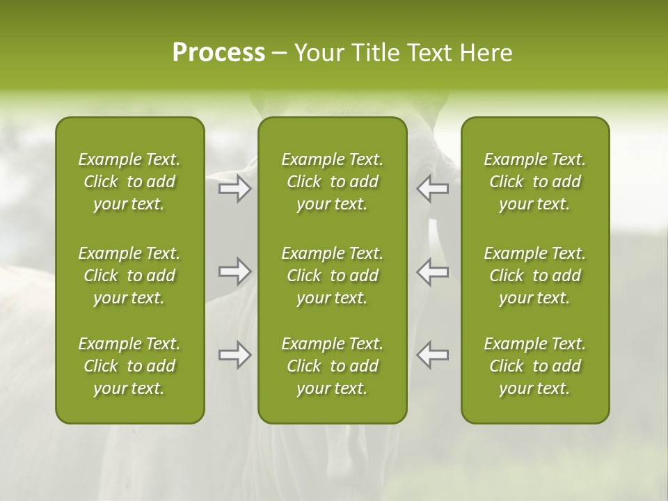 Flower Hat Chocolate PowerPoint Template