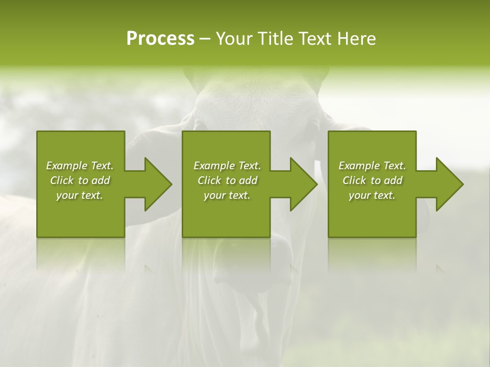 Flower Hat Chocolate PowerPoint Template