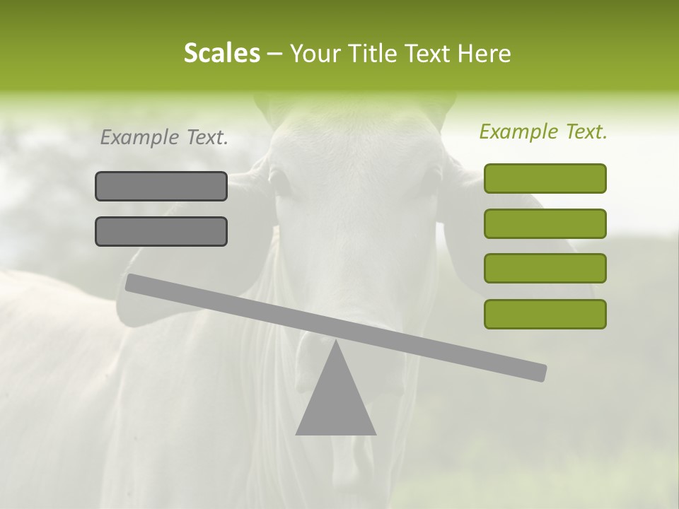 Flower Hat Chocolate PowerPoint Template