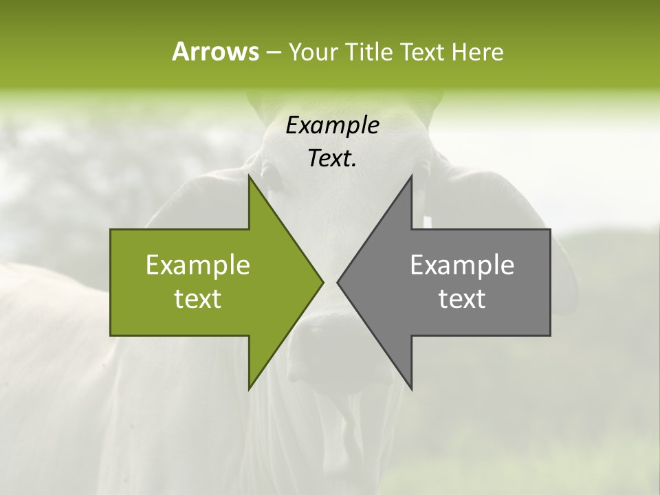 Flower Hat Chocolate PowerPoint Template