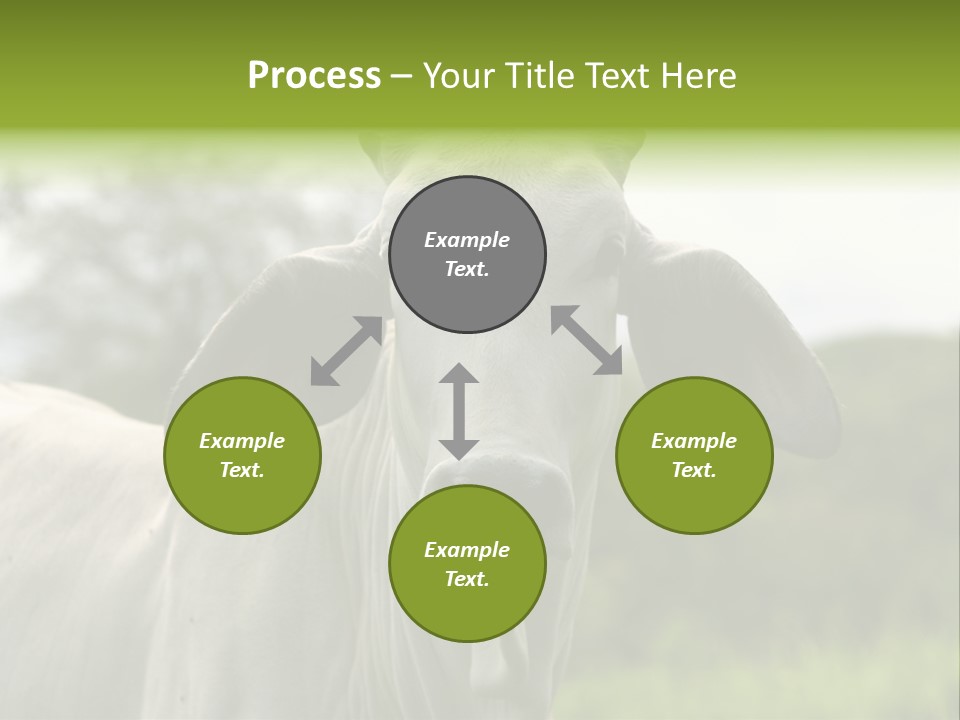 Flower Hat Chocolate PowerPoint Template