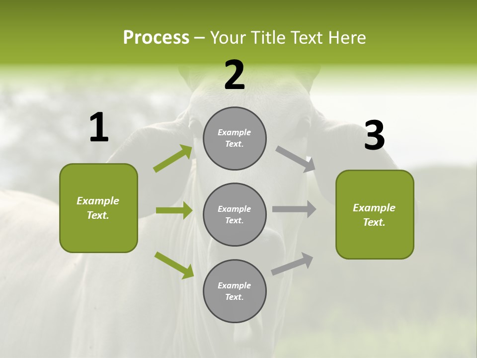 Flower Hat Chocolate PowerPoint Template