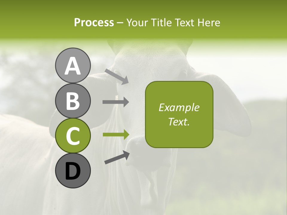 Flower Hat Chocolate PowerPoint Template