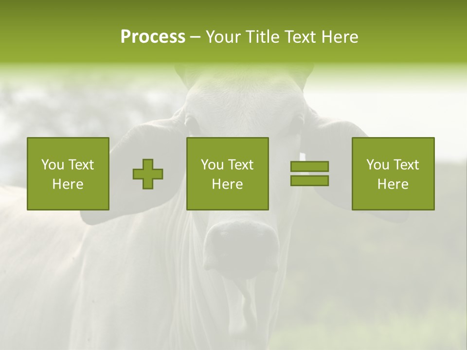 Flower Hat Chocolate PowerPoint Template