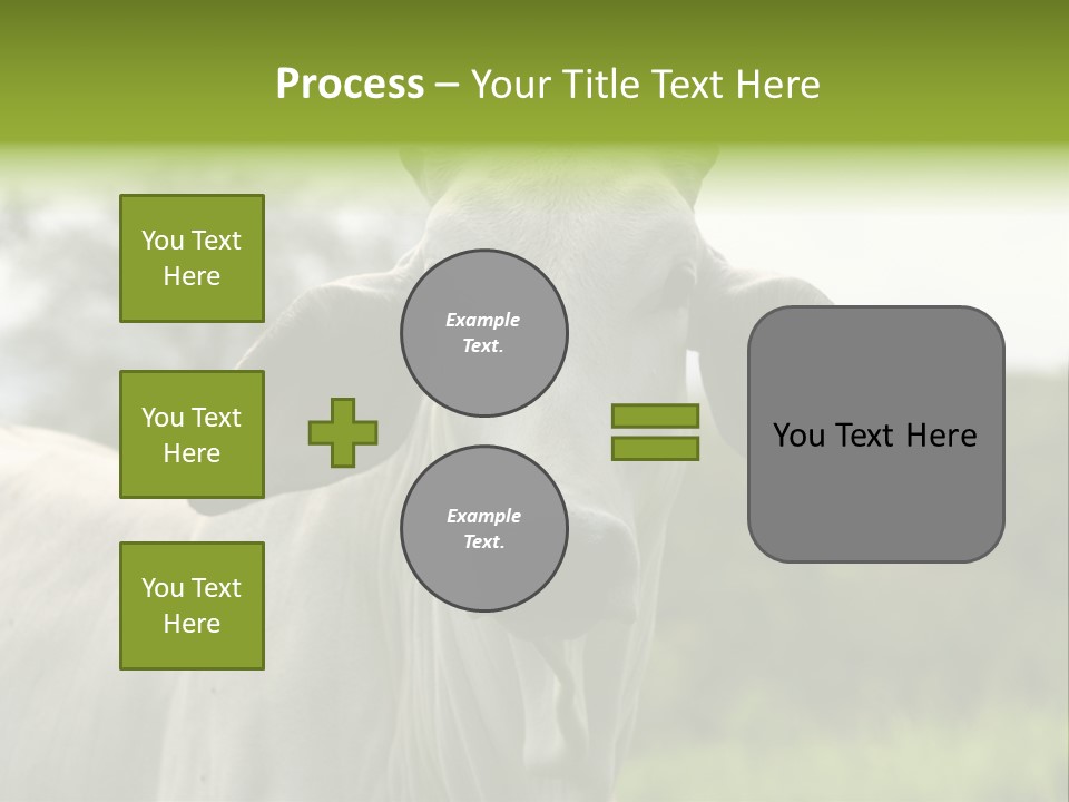 Flower Hat Chocolate PowerPoint Template