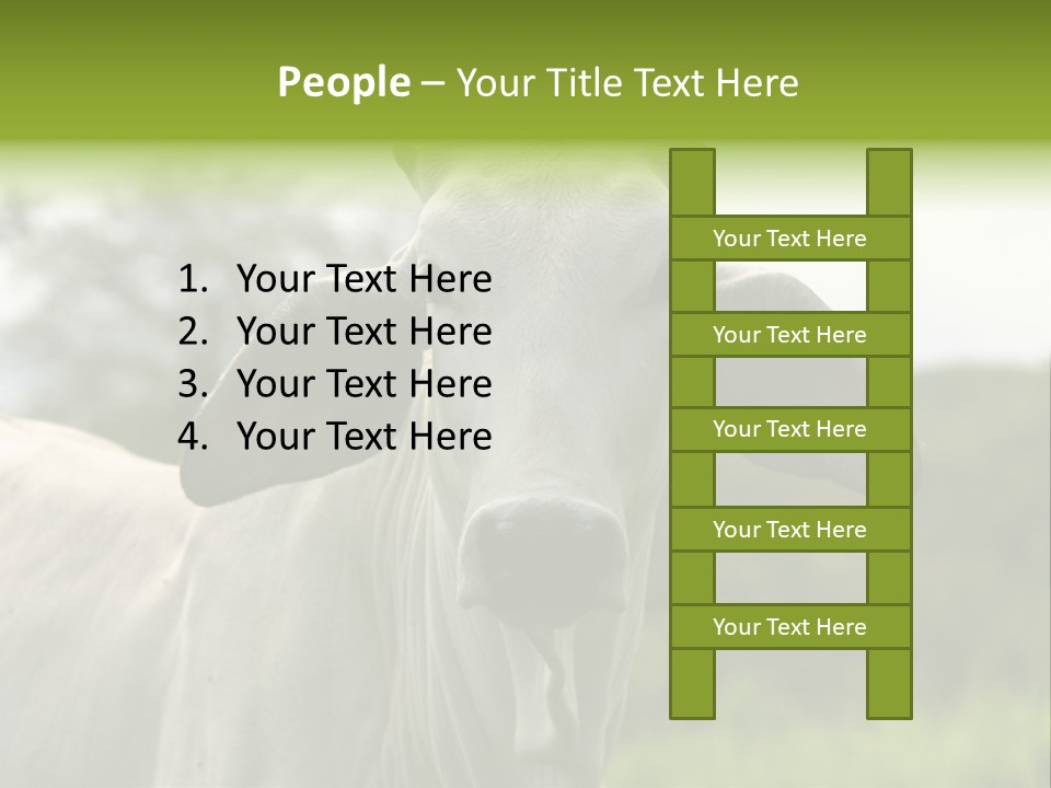 Flower Hat Chocolate PowerPoint Template